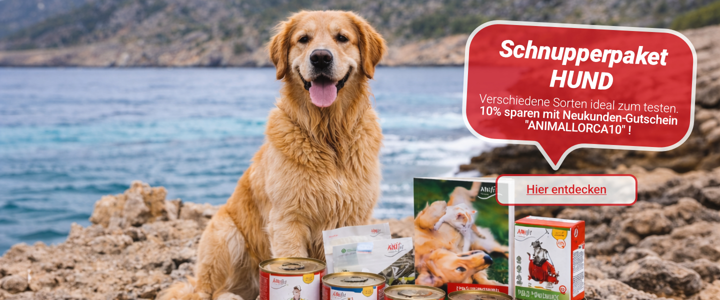 Schnupperpaket Hund