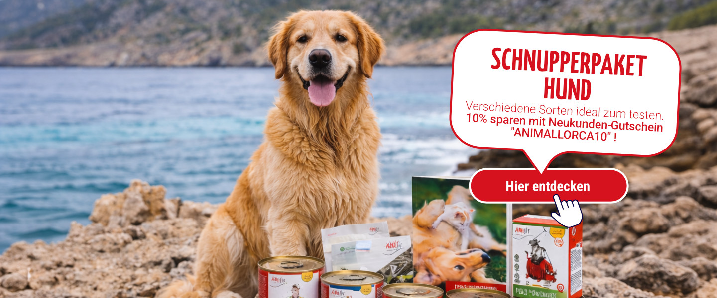 Schnupperpaket Hund