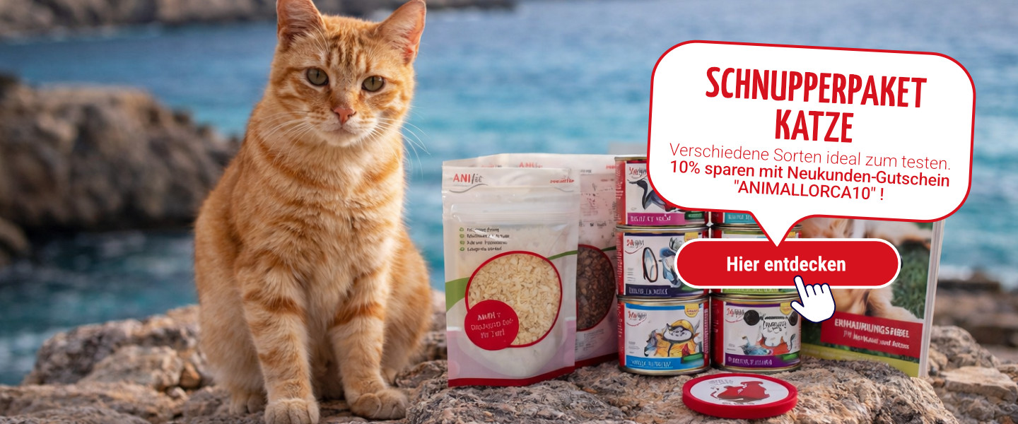 Schnupperpaket Katze