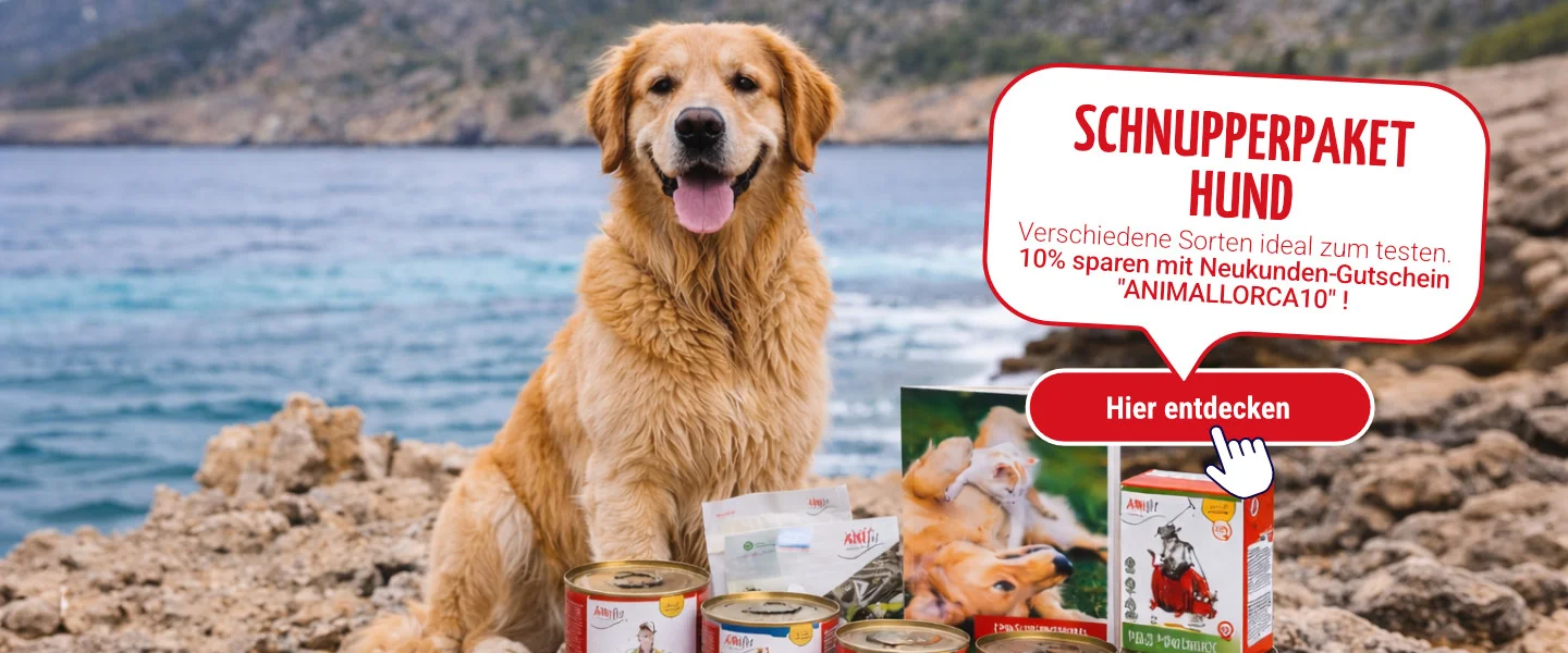 Schnupperpaket Hund