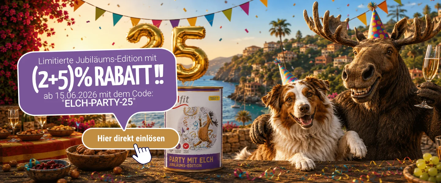ELCH-PARTY-25